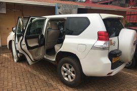 11042019010022067_23